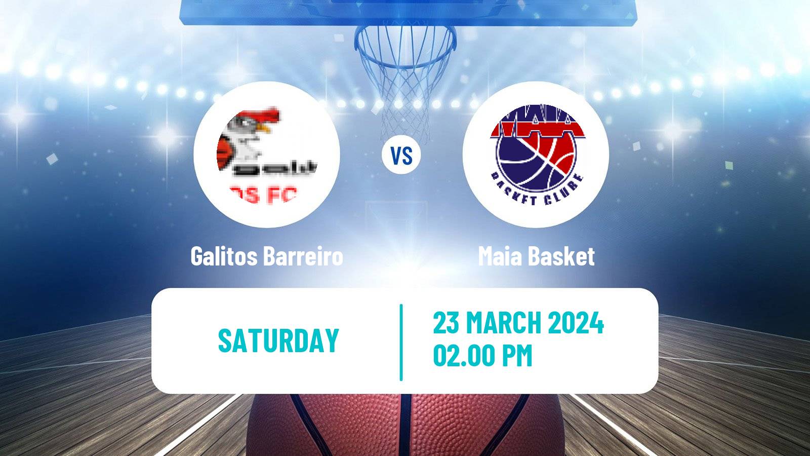 Basketball Portuguese Proliga Basketball Galitos Barreiro - Maia