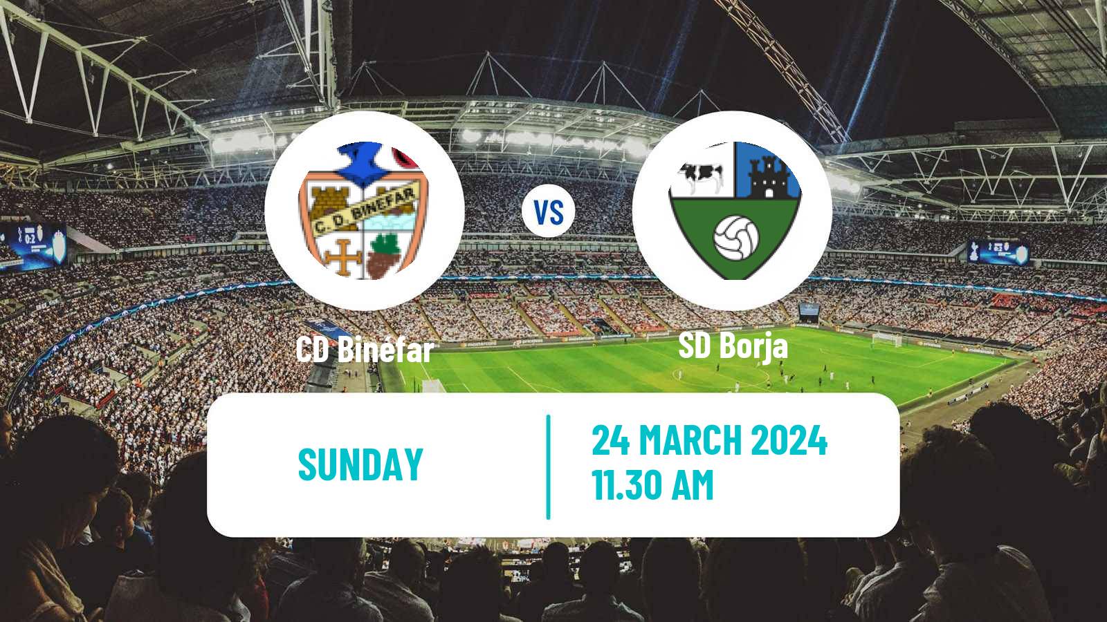 Soccer Spanish Tercera RFEF - Group 17 Binéfar - Borja