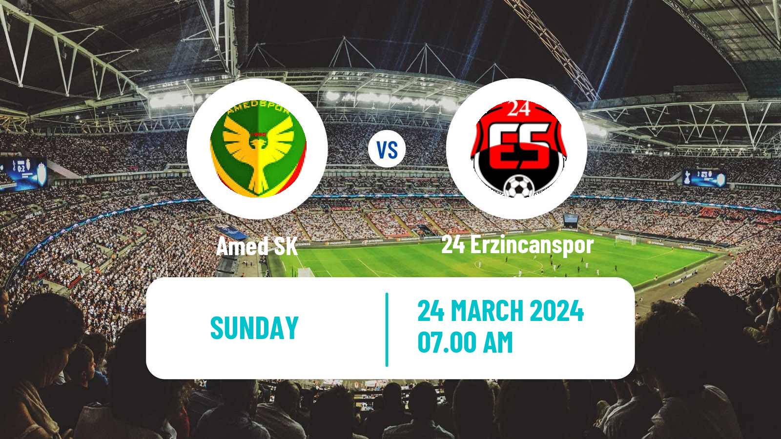 Soccer Turkish Second League Red Group Amed SK - 24 Erzincanspor