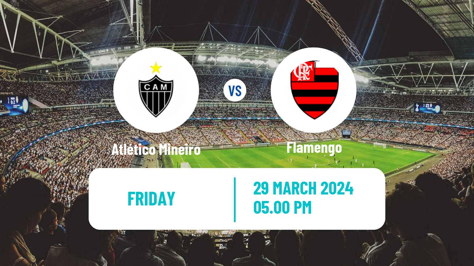 Soccer Brasileiro Women Atlético Mineiro - Flamengo
