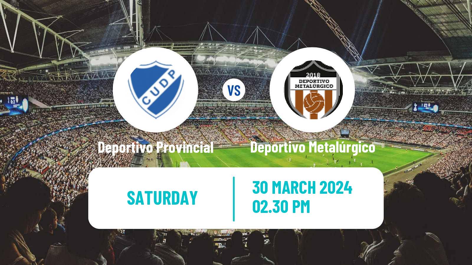 Soccer Argentinian Torneo Promocional Amateur Deportivo Provincial - Deportivo Metalúrgico