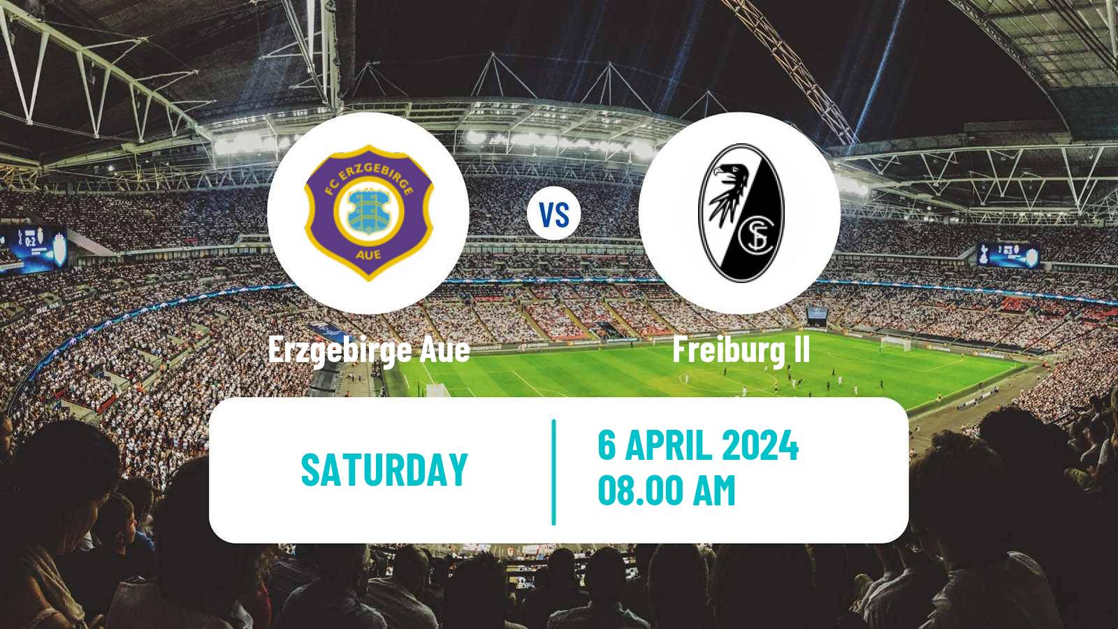Soccer German 3 Bundesliga Erzgebirge Aue - Freiburg II