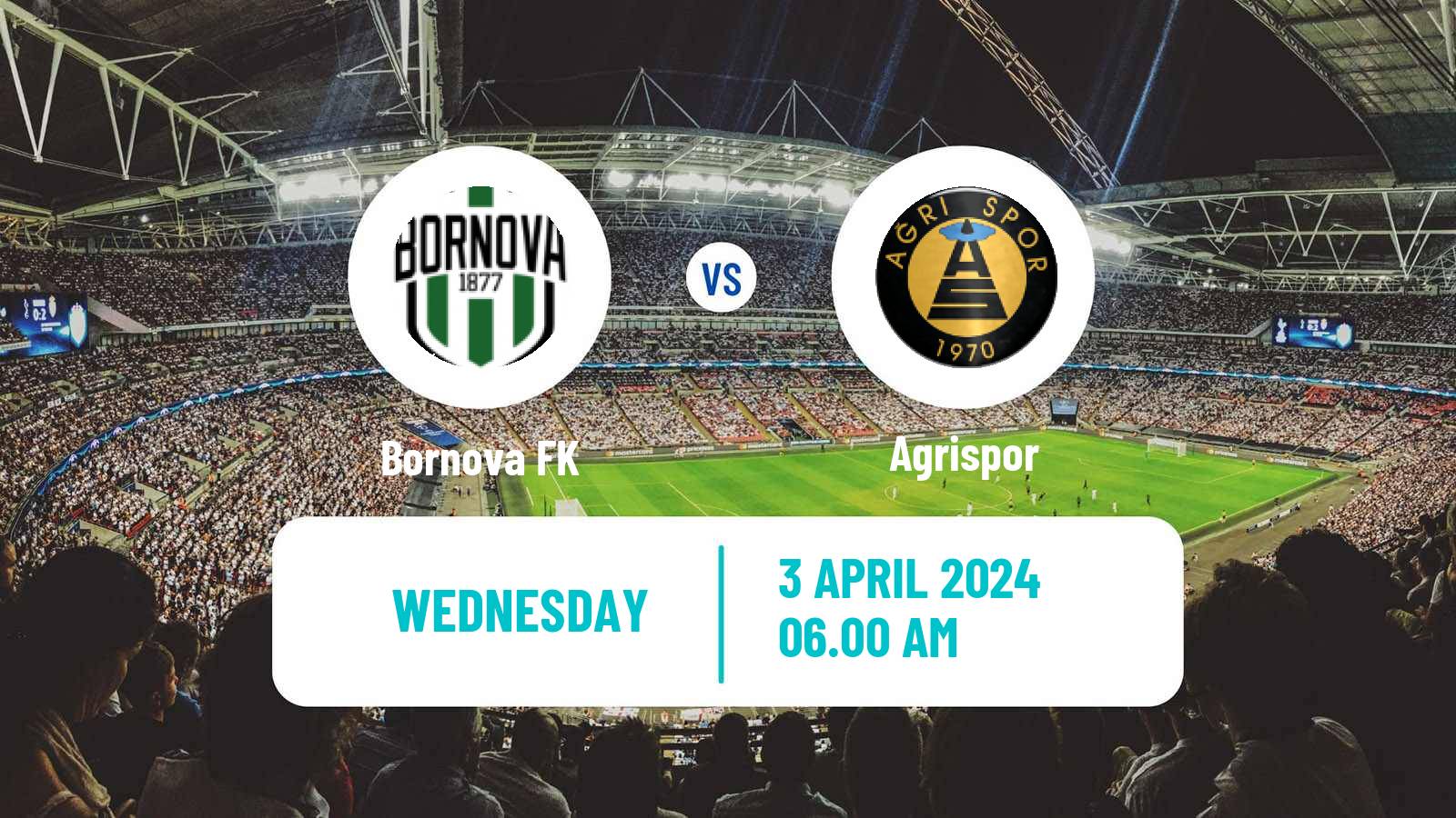 Soccer Turkish 3 Lig Group 3 Bornova - Agrispor