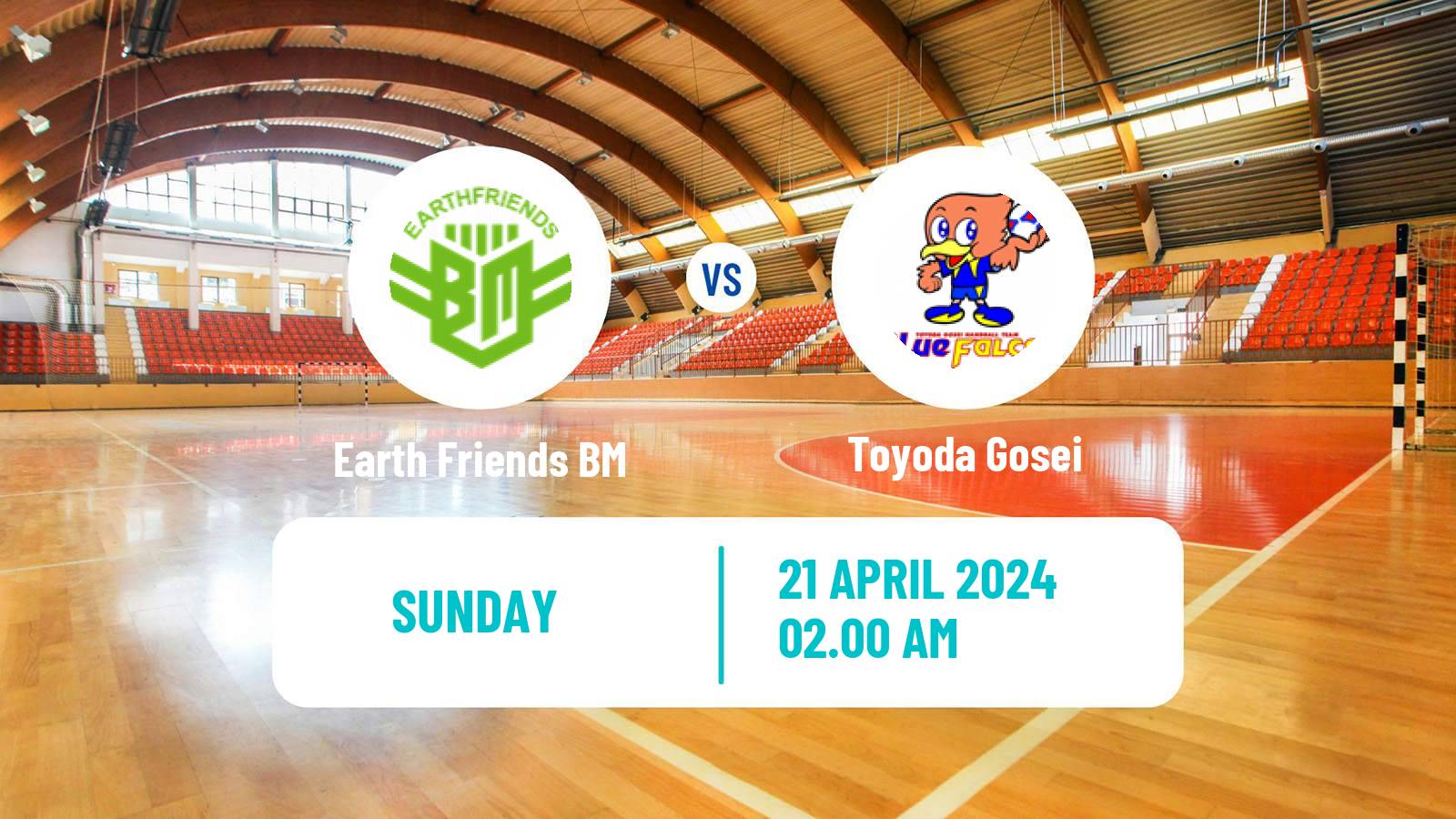Handball Japan JHL Handball Earth Friends BM - Toyoda Gosei