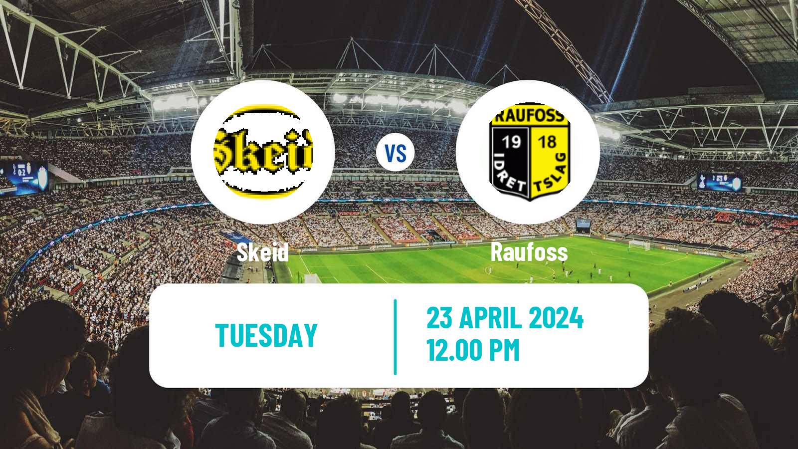 Soccer Norwegian NM Cup Skeid - Raufoss