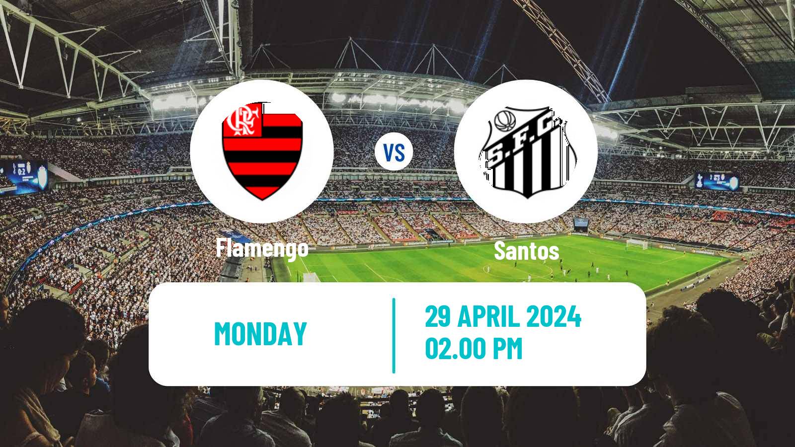 Soccer Brasileiro Women Flamengo - Santos