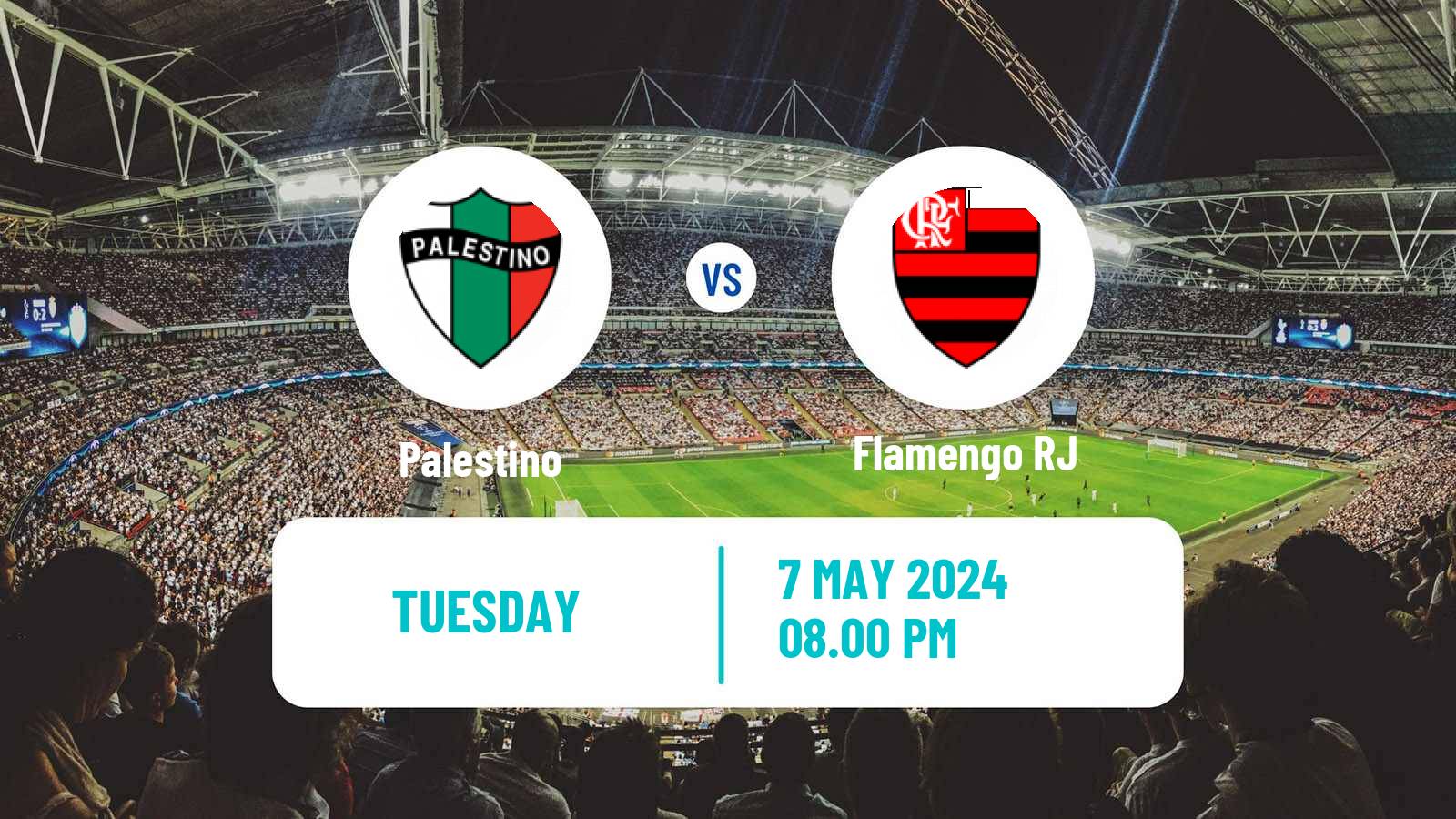 Football Copa Libertadores Palestino - Flamengo