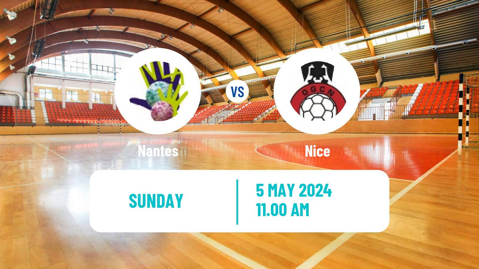 Handball French Division 1 Handball Women Nantes - Nice