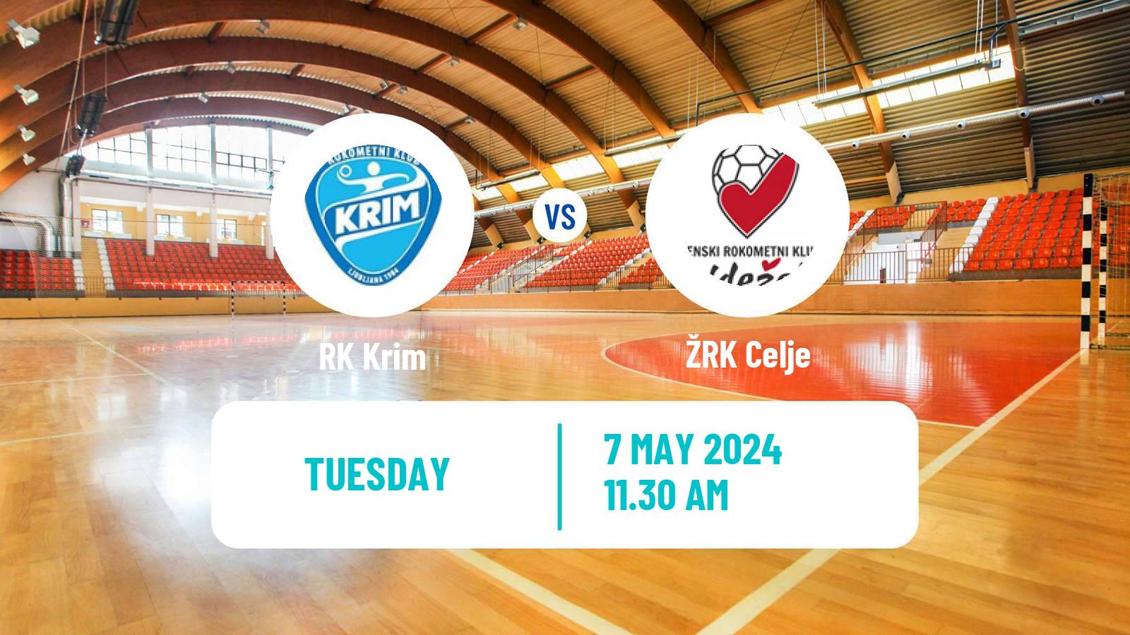 Handball Slovenian 1 A DRL Women RK Krim - Celje