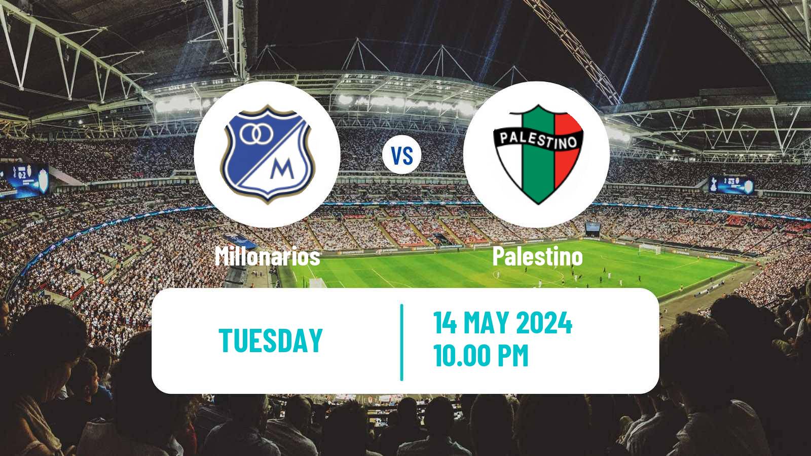 Soccer Copa Libertadores Millonarios - Palestino