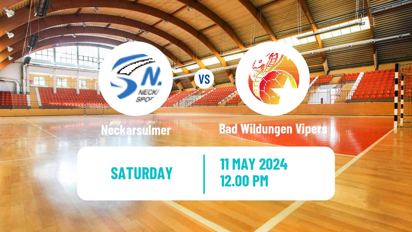 Handball German 1 Bundesliga Handball Women Neckarsulmer - Bad Wildungen Vipers