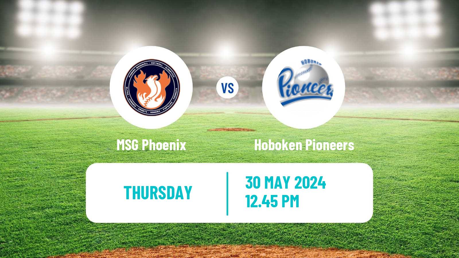 Baseball Belgian Division 1 Baseball MSG Phoenix - Hoboken Pioneers