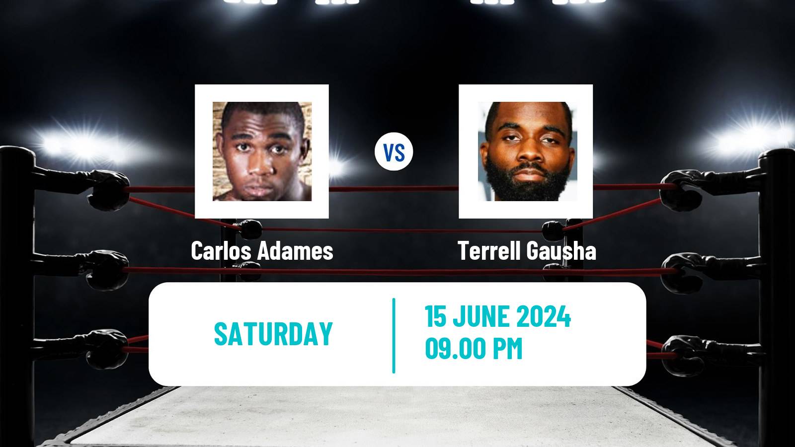 Boxing Middleweight WBC Title Men Carlos Adames - Terrell Gausha