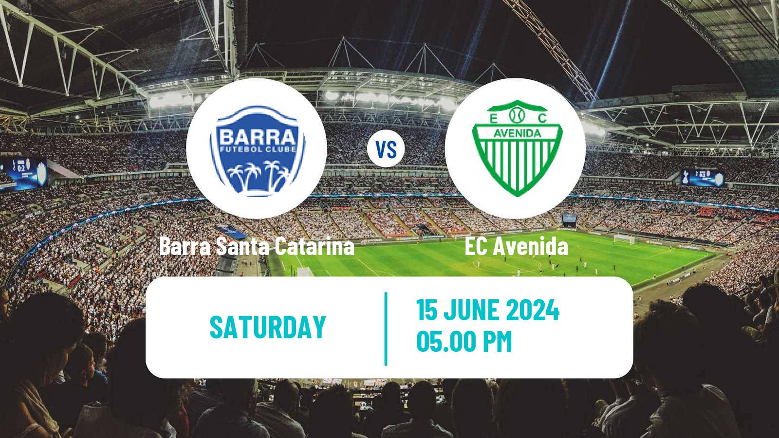 Soccer Brazilian Serie D Barra Santa Catarina - Avenida