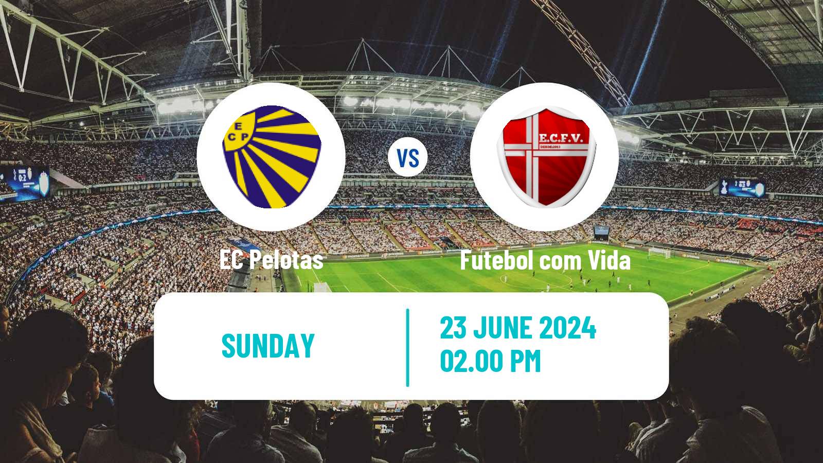 Soccer Brazilian Campeonato Gaucho 2 EC Pelotas - Futebol com Vida