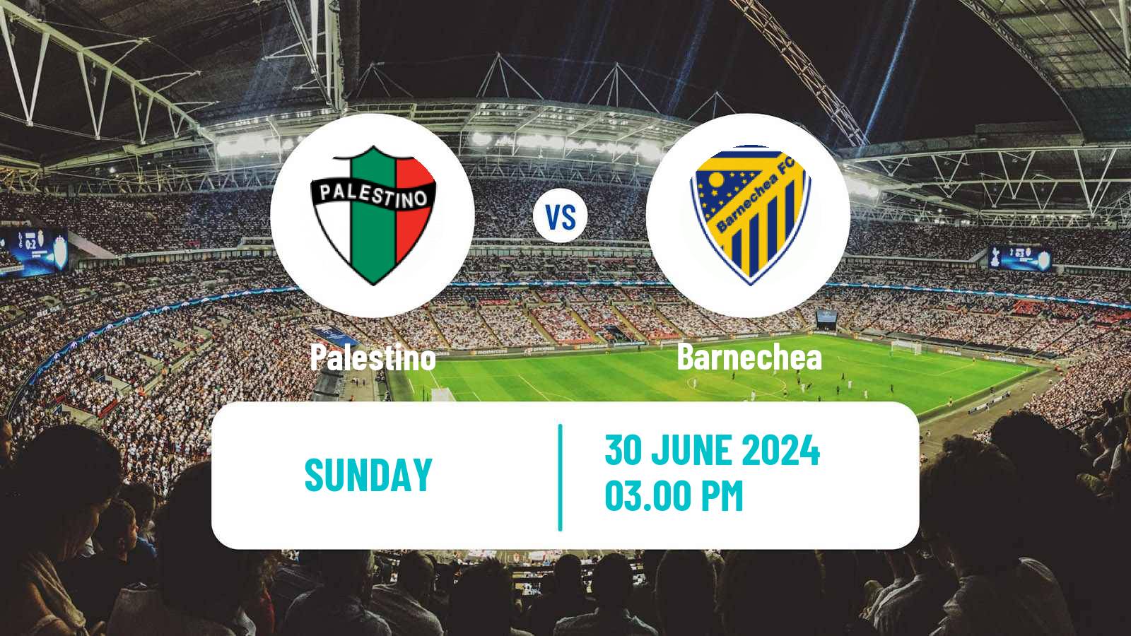 Soccer Chilean Cup Palestino - Barnechea