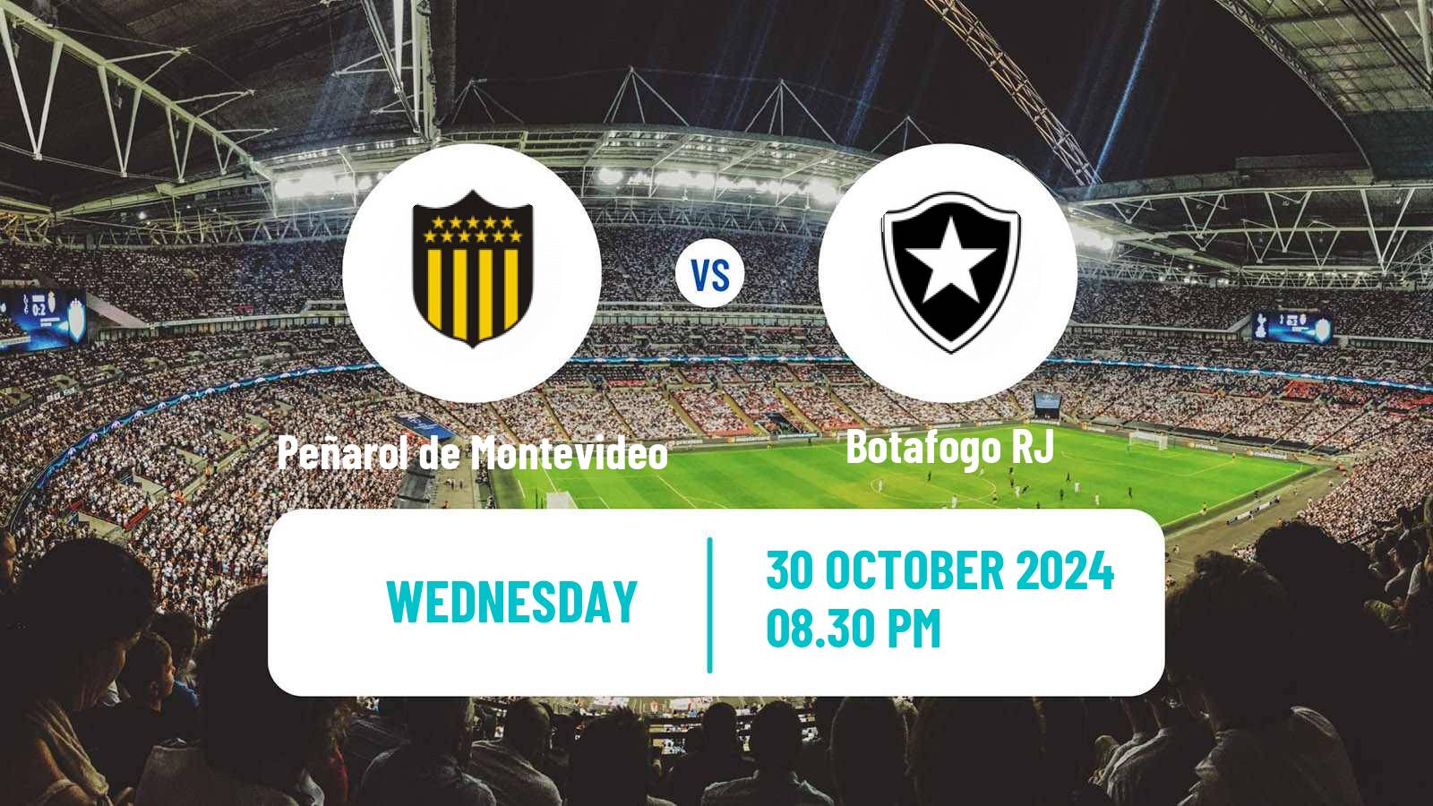 Football Copa Libertadores Peñarol de Montevideo - Botafogo RJ