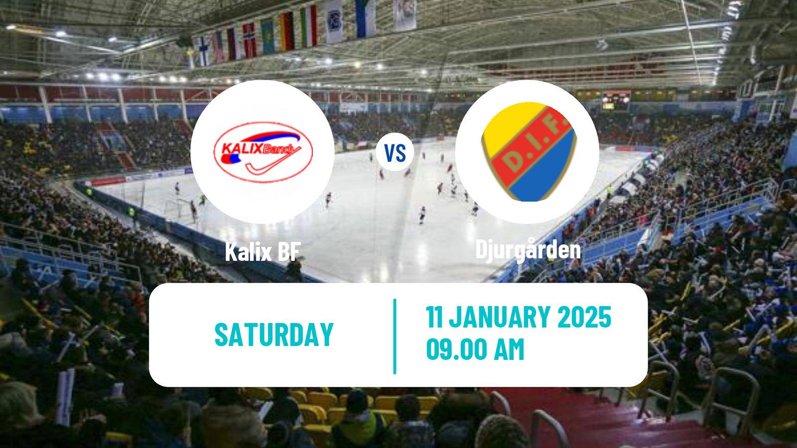 Bandy Swedish Allsvenskan Bandy Kalix BF - Djurgården