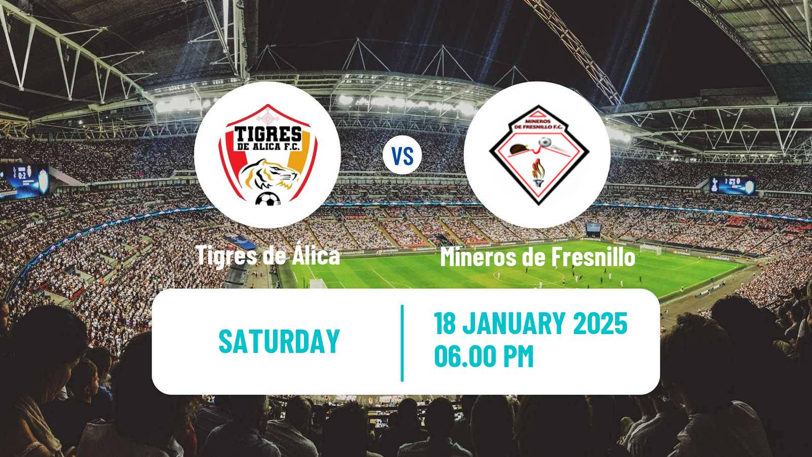 Soccer Mexican Liga Premier Serie A Tigres de Álica - Mineros de Fresnillo