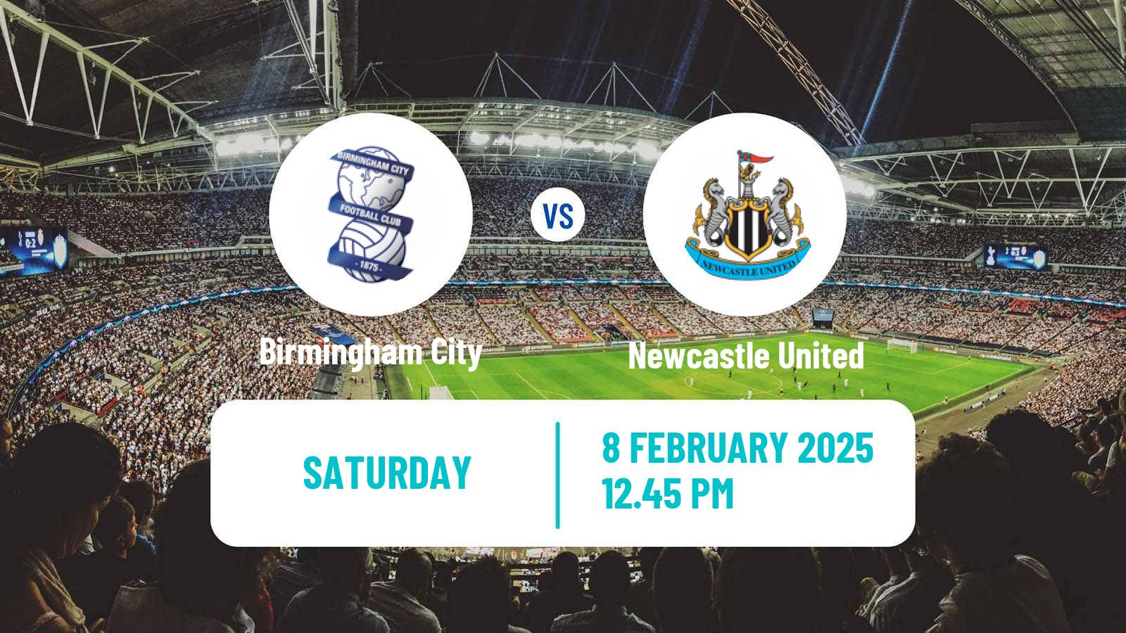 Soccer English FA Cup Birmingham City - Newcastle United