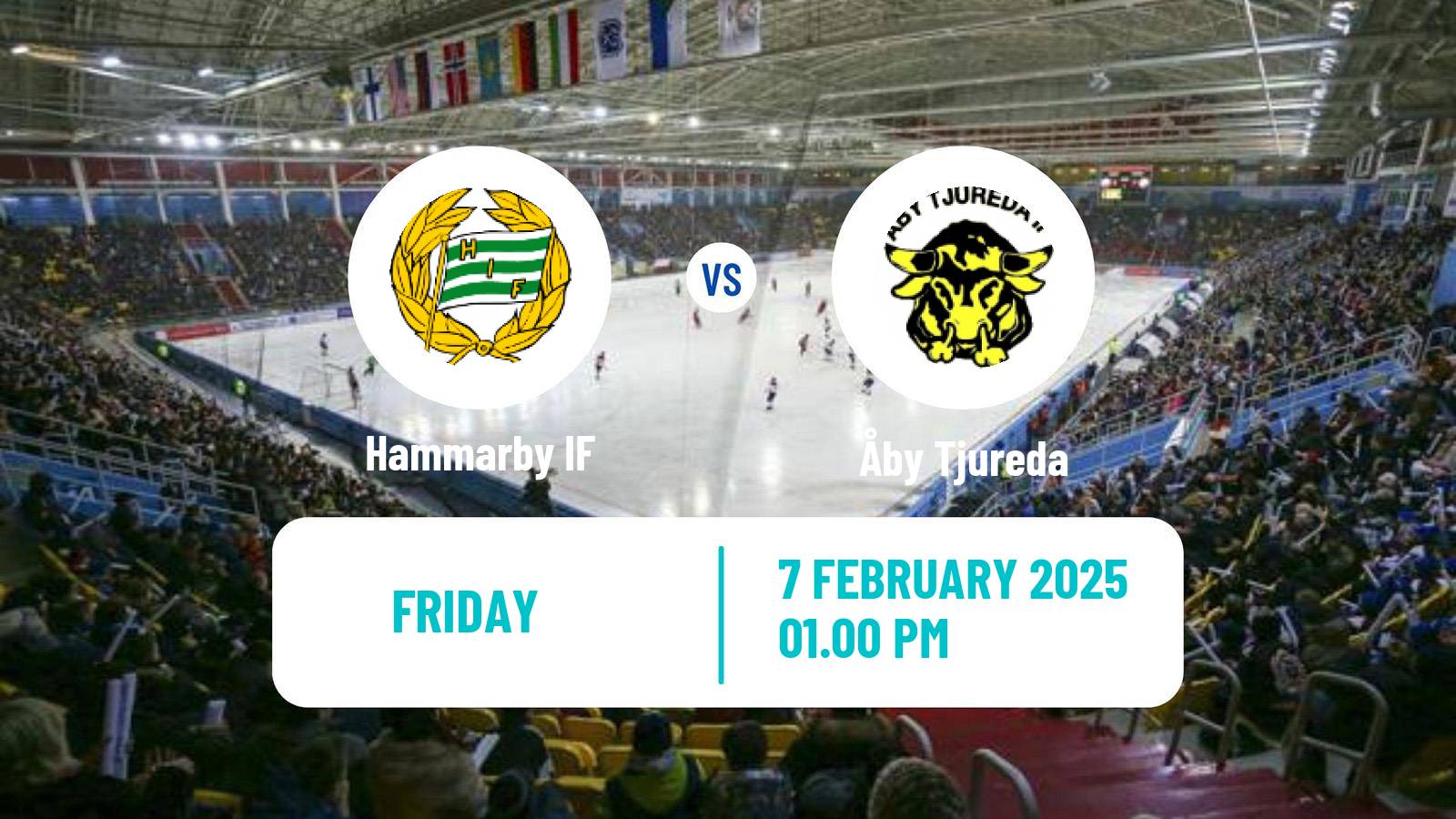 Bandy Swedish Elitserien Bandy Hammarby IF - Åby Tjureda