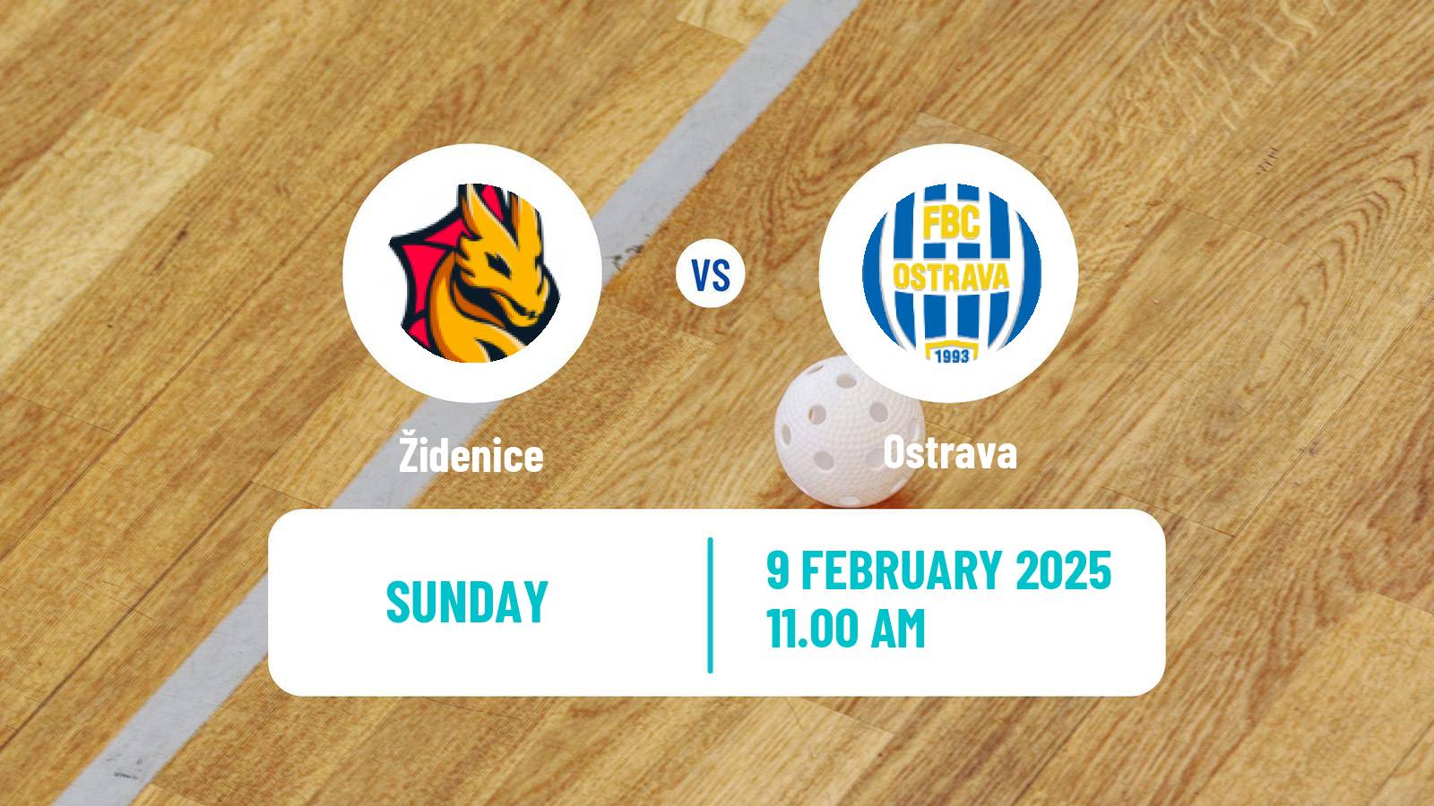 Floorball Czech Extraliga Floorball Women Židenice - Ostrava
