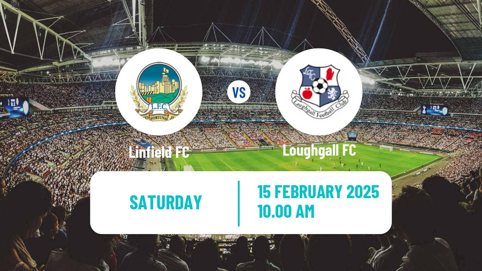 Soccer Northern Irish Premiership Linfield - Loughgall