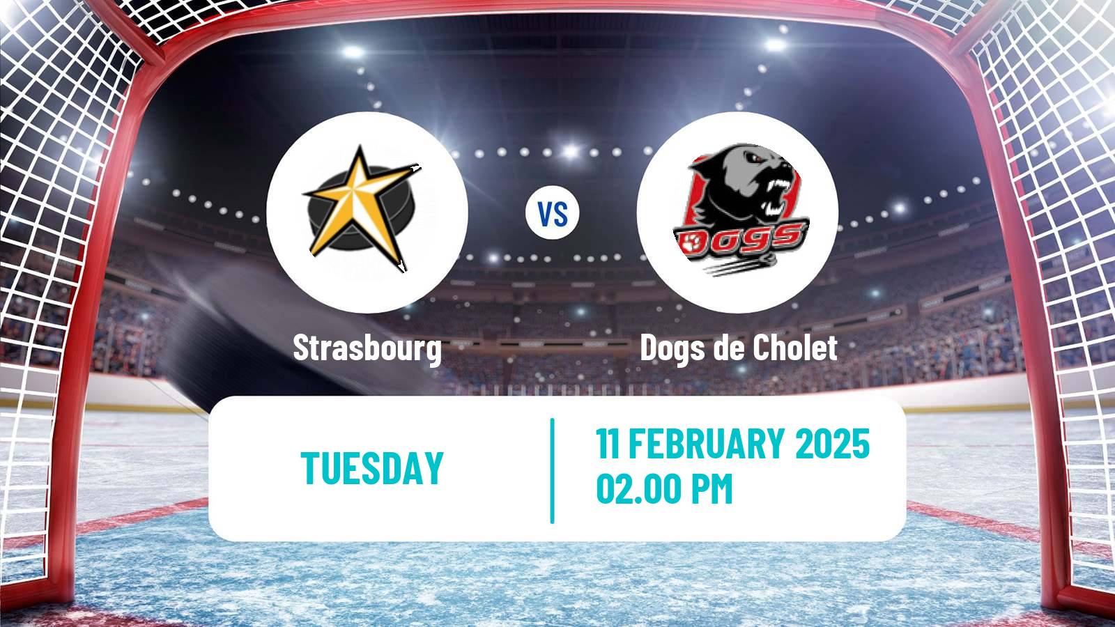 Hockey French D1 Ice Hockey Strasbourg - Dogs de Cholet