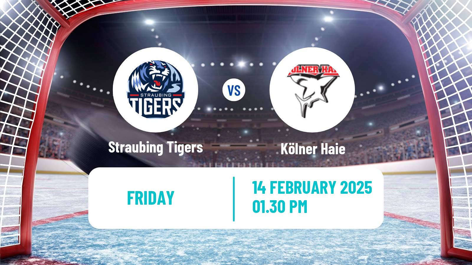 Hockey German Ice Hockey League Straubing Tigers - Kölner Haie