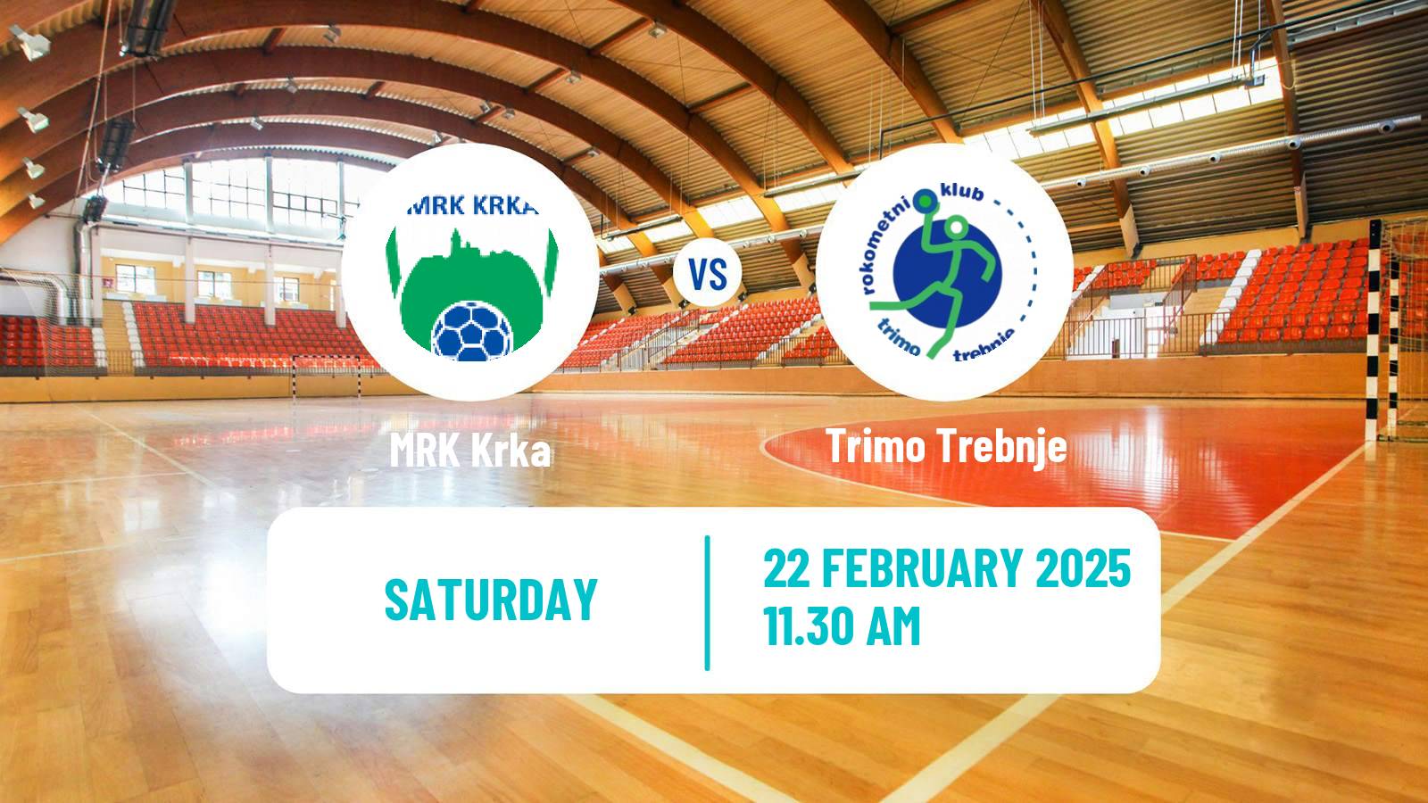 Handball Slovenian 1 NLB Liga Handball Krka - Trimo Trebnje