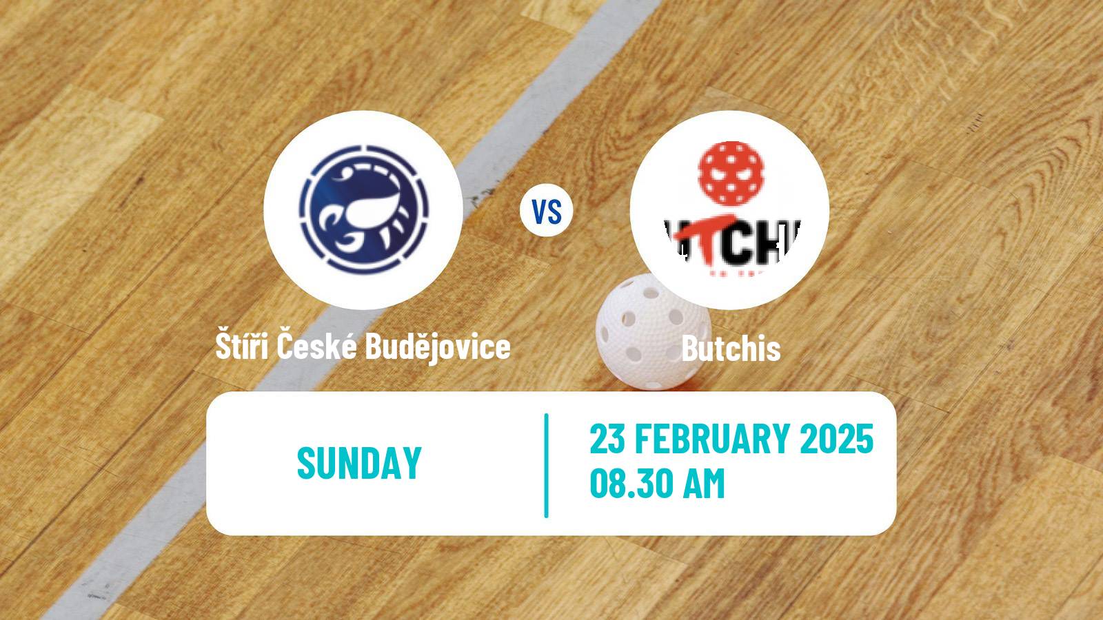 Floorball Czech 1 Liga Floorball Štíři České Budějovice - Butchis