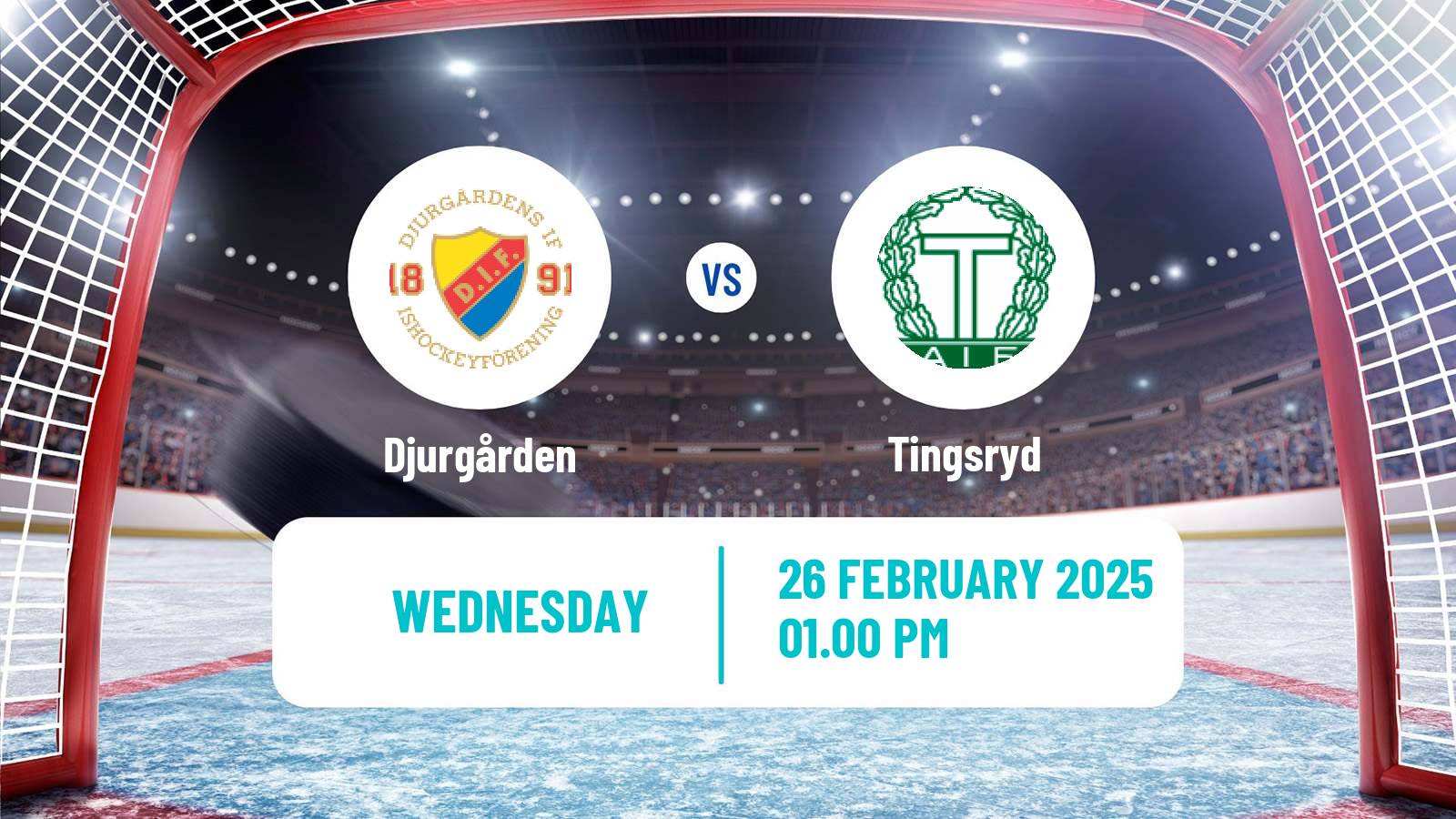 Hockey Swedish Hockey Allsvenskan Djurgården - Tingsryd