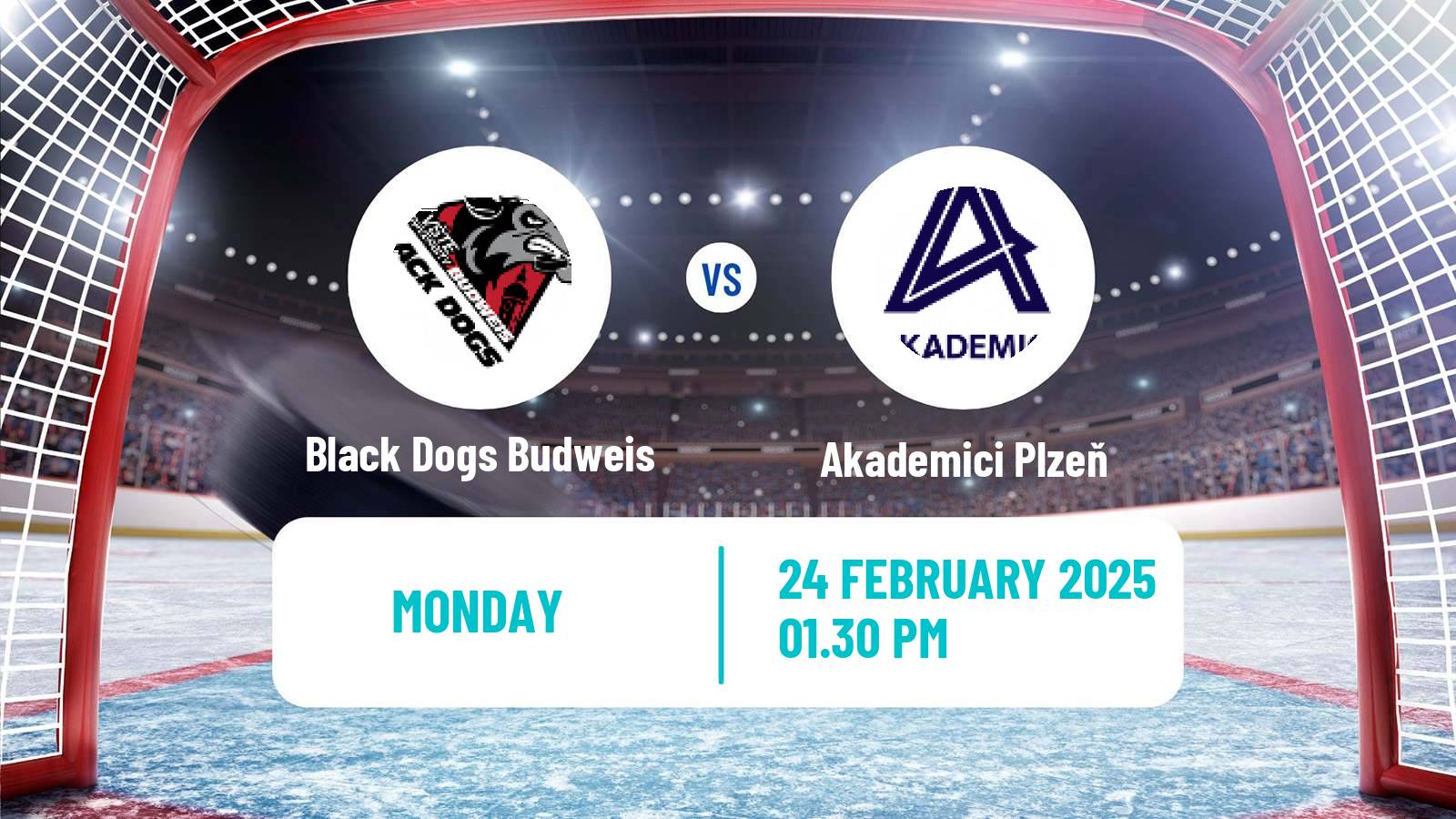 Hockey Czech ULLH Black Dogs Budweis - Akademici Plzeň