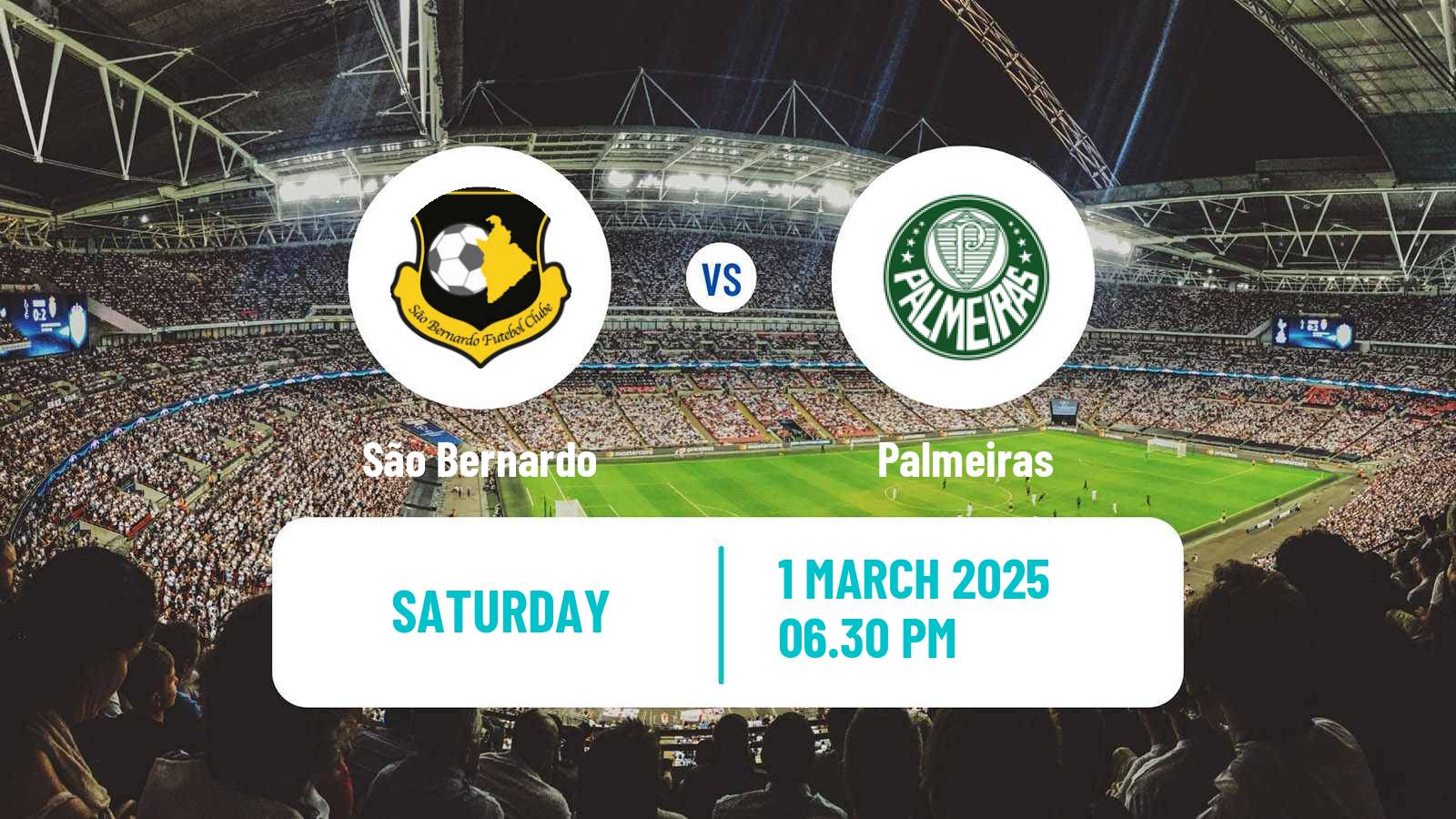 Soccer Brazilian Campeonato Paulista São Bernardo - Palmeiras