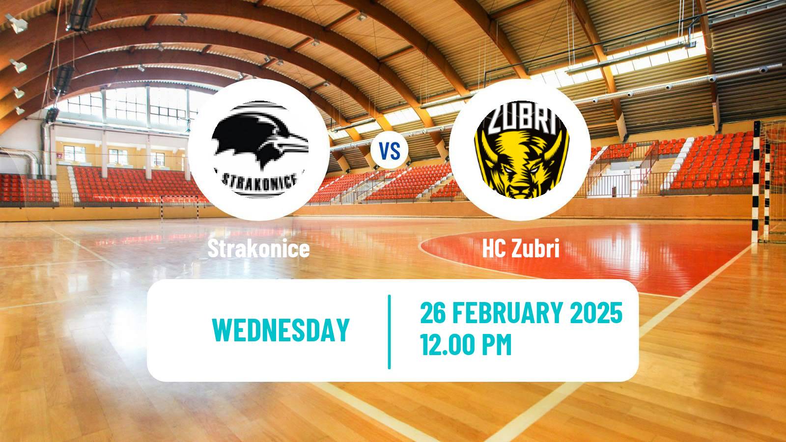 Handball Czech Extraliga Handball Strakonice - Zubri