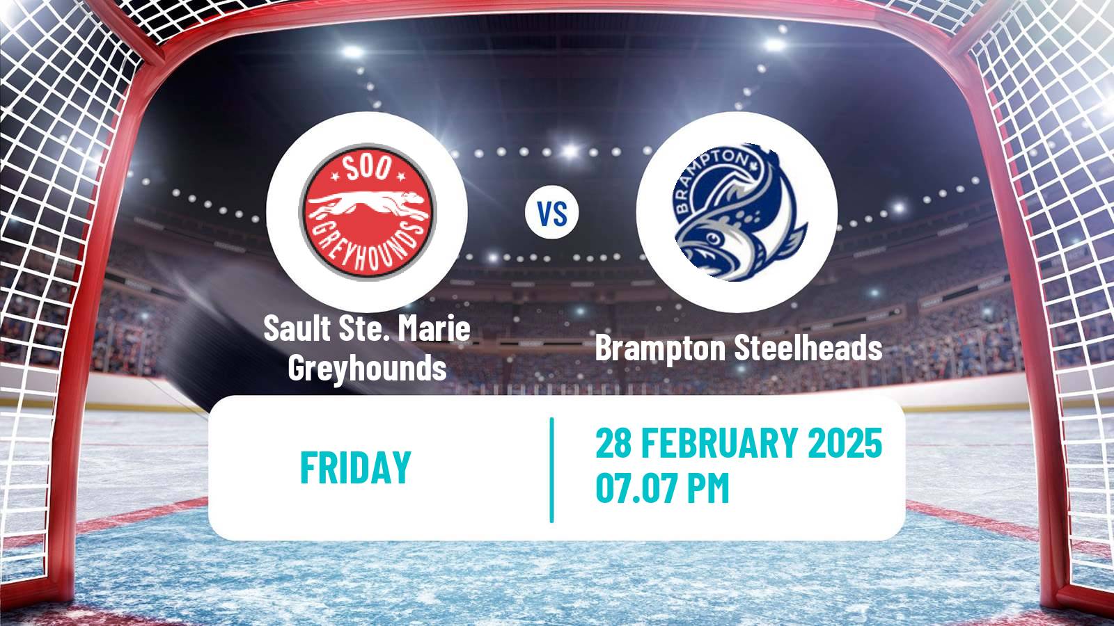 Hockey OHL Sault Ste. Marie Greyhounds - Brampton Steelheads