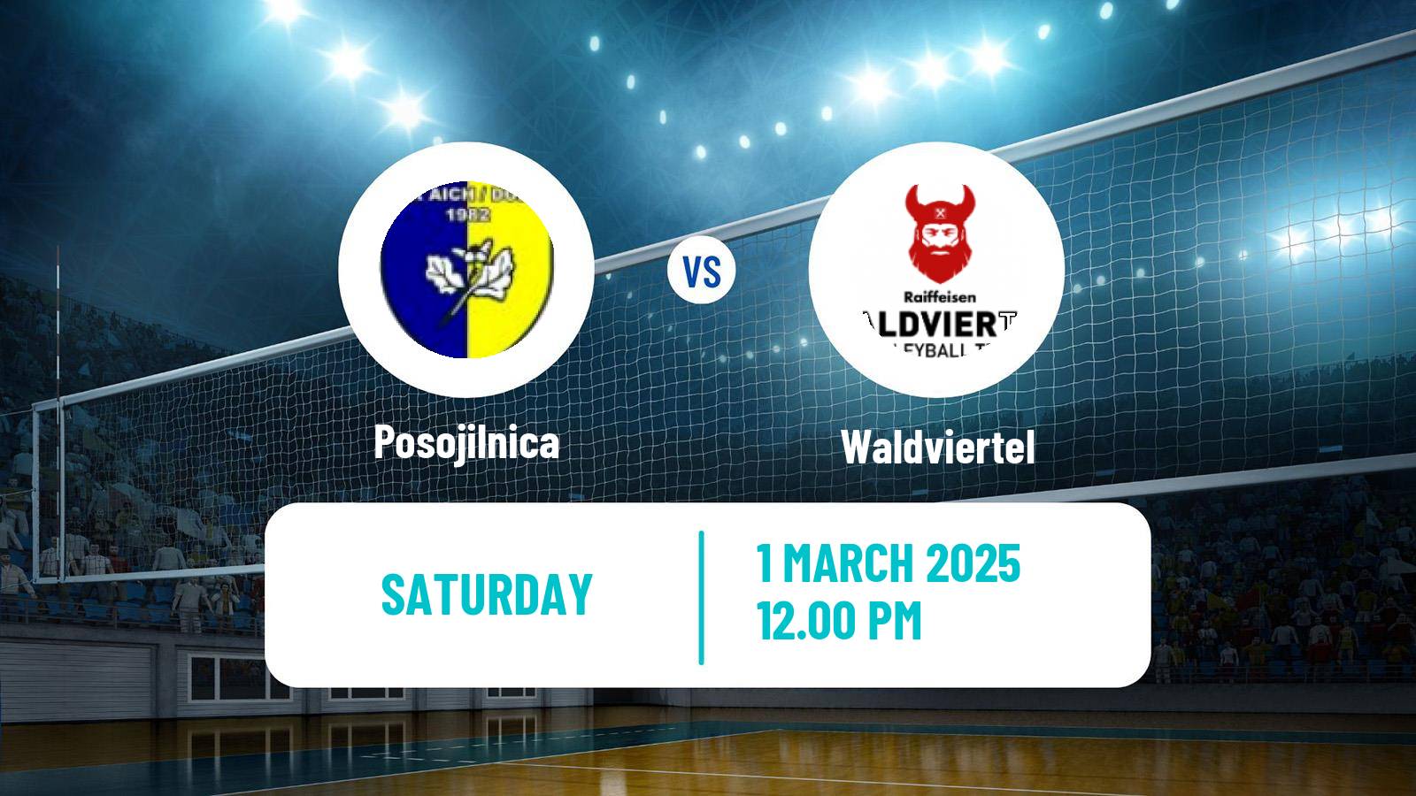 Volleyball Austrian Volley League Posojilnica - Waldviertel