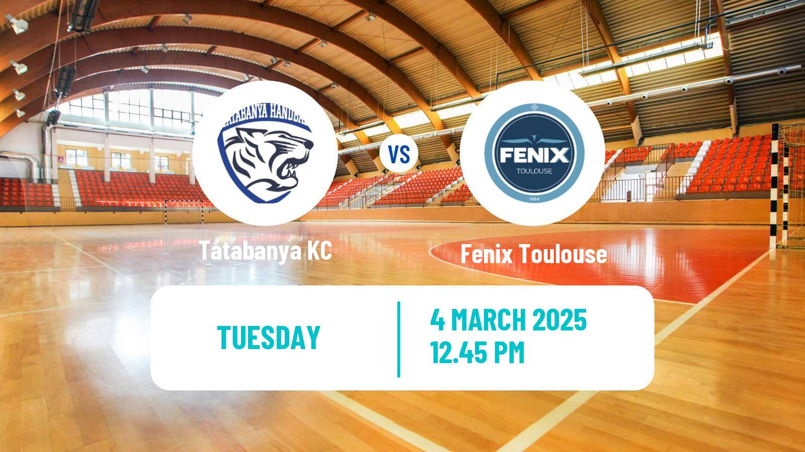 Handball EHF European League Tatabanya - Fenix Toulouse