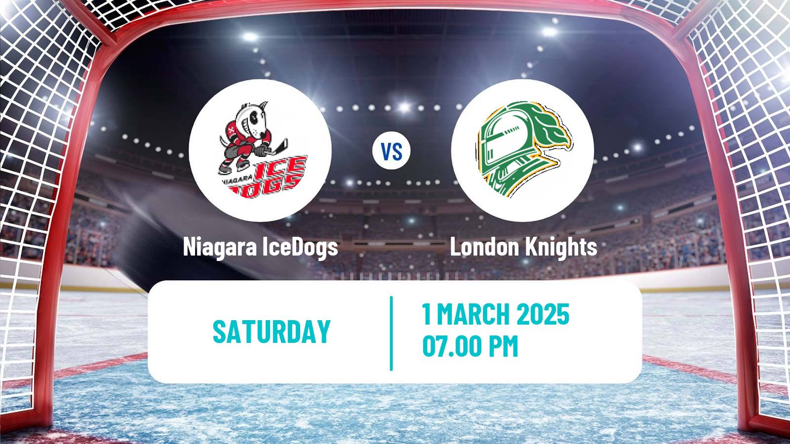 Hockey OHL Niagara IceDogs - London Knights
