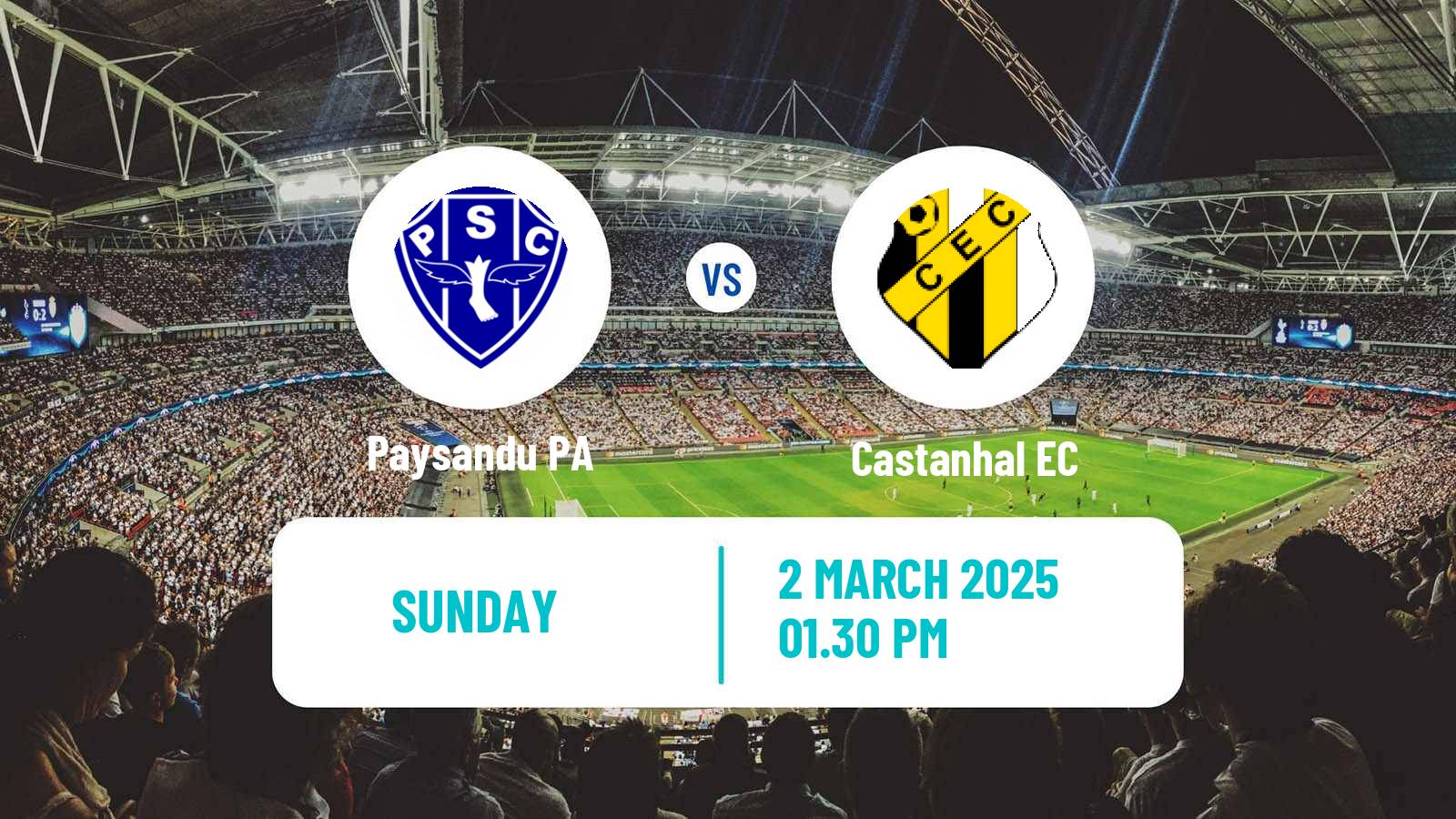 Soccer Brazilian Campeonato Paraense Paysandu - Castanhal