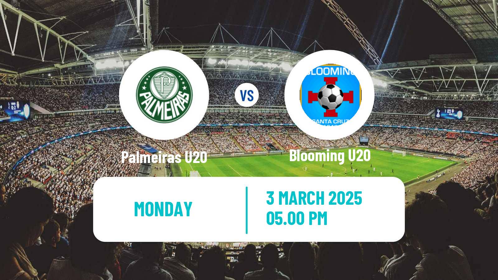 Soccer Copa Libertadores U20 Palmeiras U20 - Blooming U20