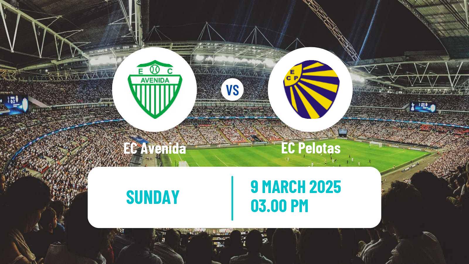 Soccer Brazilian Campeonato Gaucho Avenida - EC Pelotas
