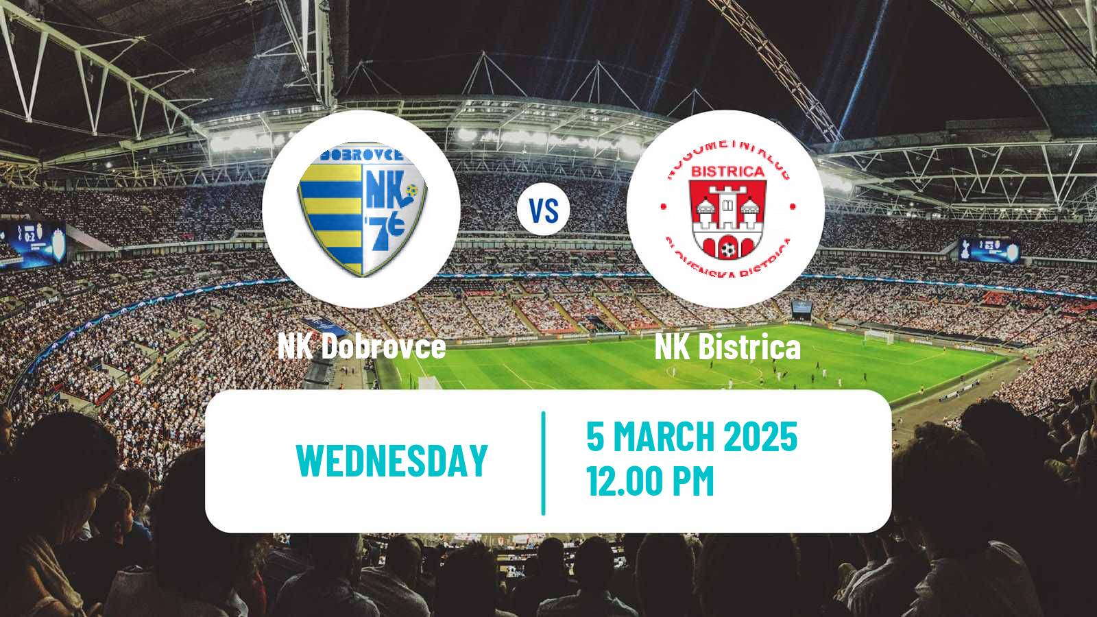 Soccer Slovenian Cup Dobrovce - Bistrica