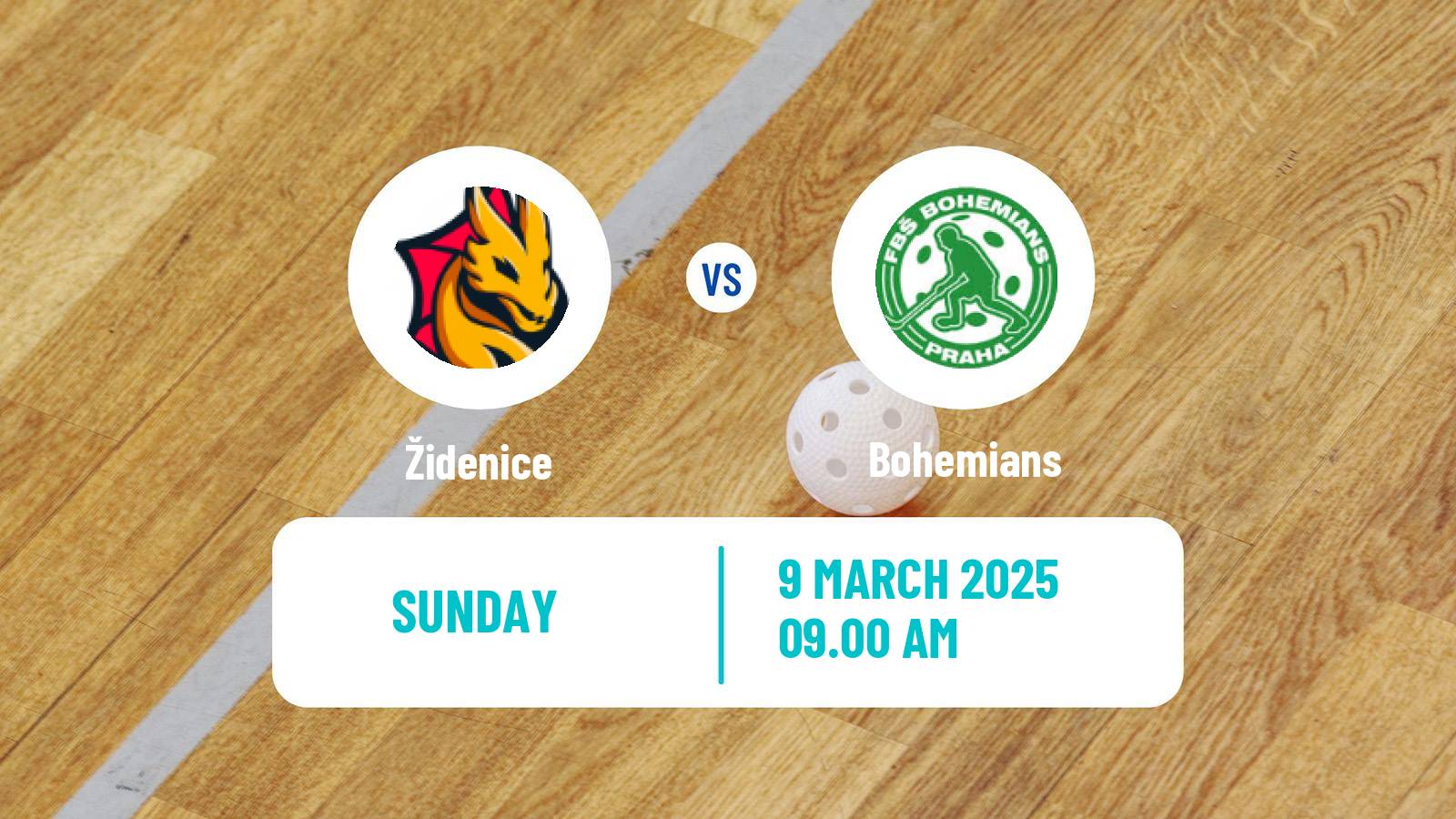 Floorball Czech Extraliga Floorball Women Židenice - Bohemians