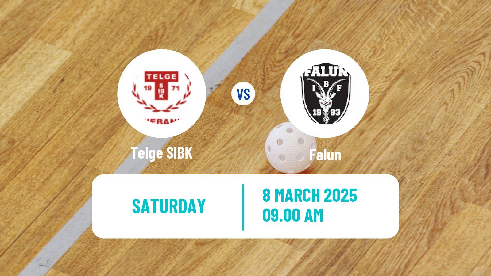 Floorball Swedish Superligan Floorball Women Telge - Falun