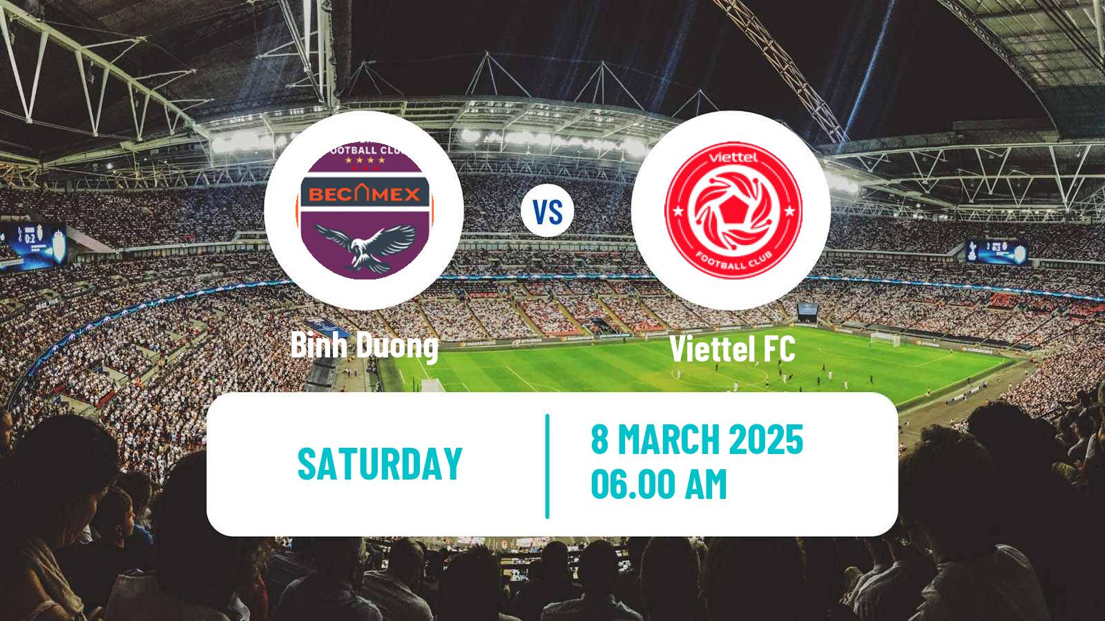 Soccer Vietnamese V League 1 Binh Duong - Viettel