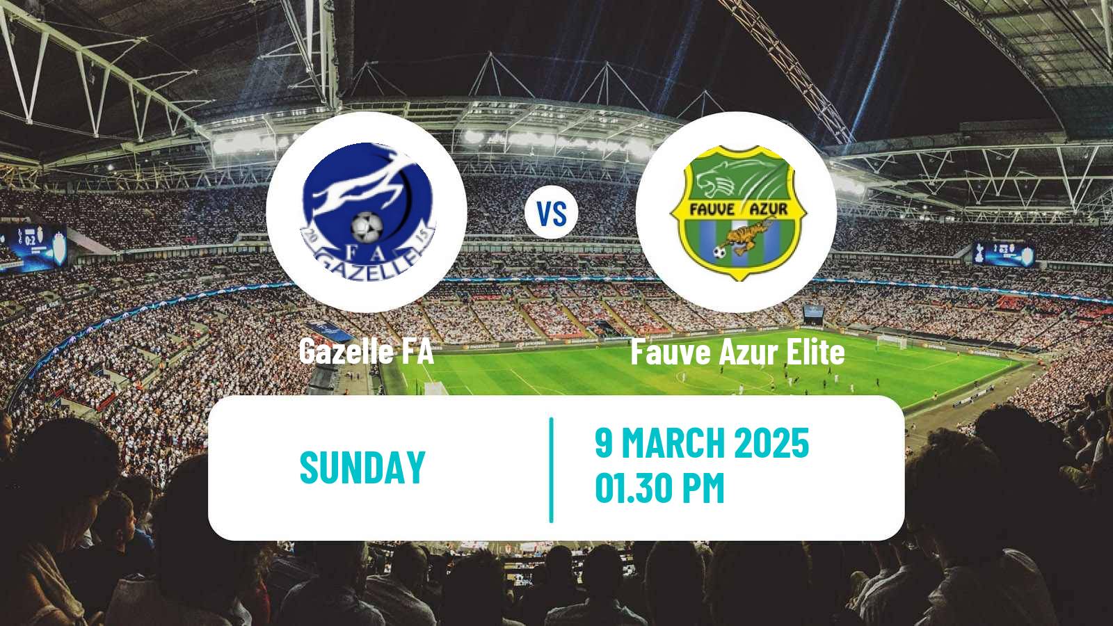Soccer Cameroon Elite One Gazelle - Fauve Azur Elite