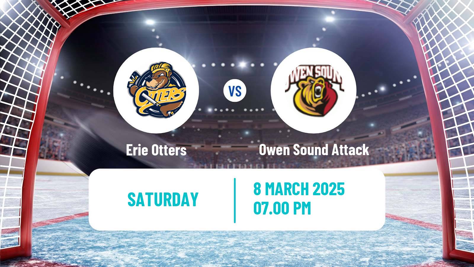Hockey OHL Erie Otters - Owen Sound Attack