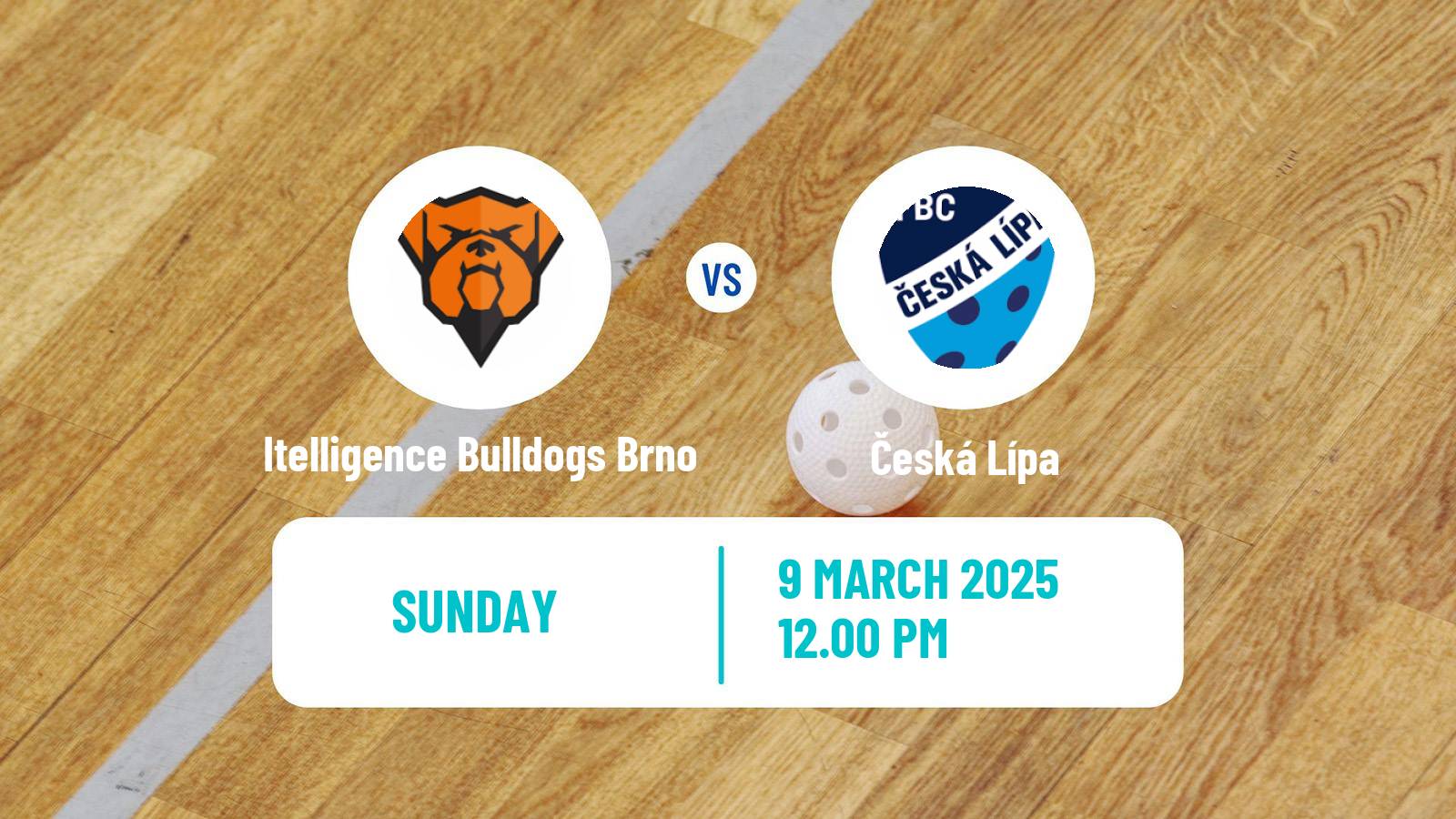 Floorball Czech Superliga Floorball Itelligence Bulldogs Brno - Česká Lípa