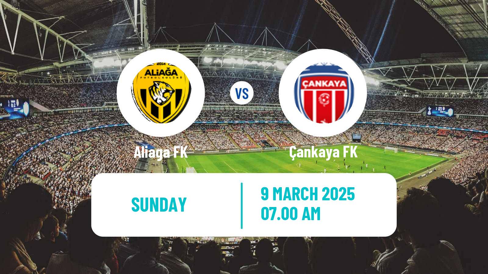 Soccer Turkish 3 Lig Group 3 Aliaga - Çankaya